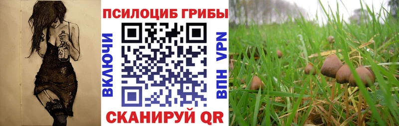 наркошоп  Пущино  Галлюциногенные грибы MAGIC MUSHROOMS 